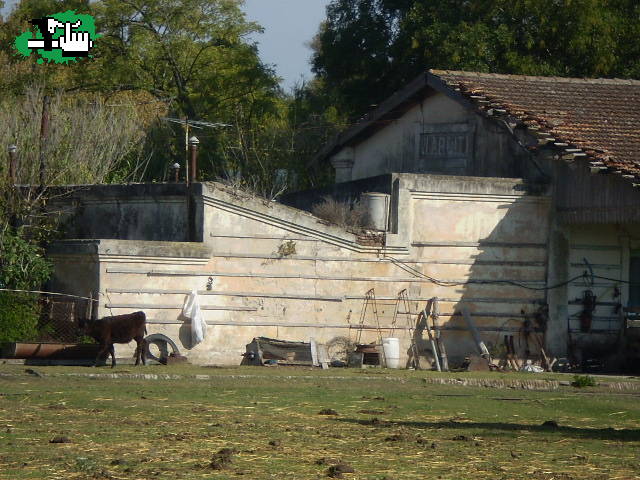 Los 3 chiflados del pedal