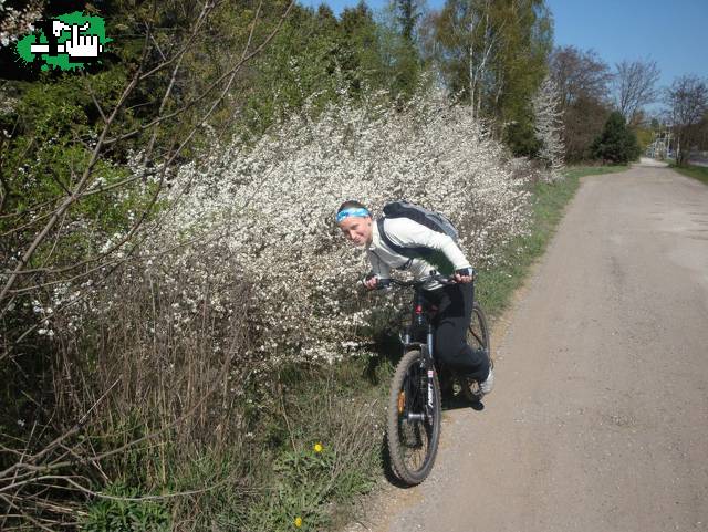 Ldp en Polonia..