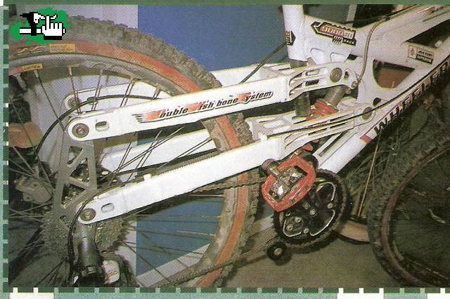 Trasera de la wheeler