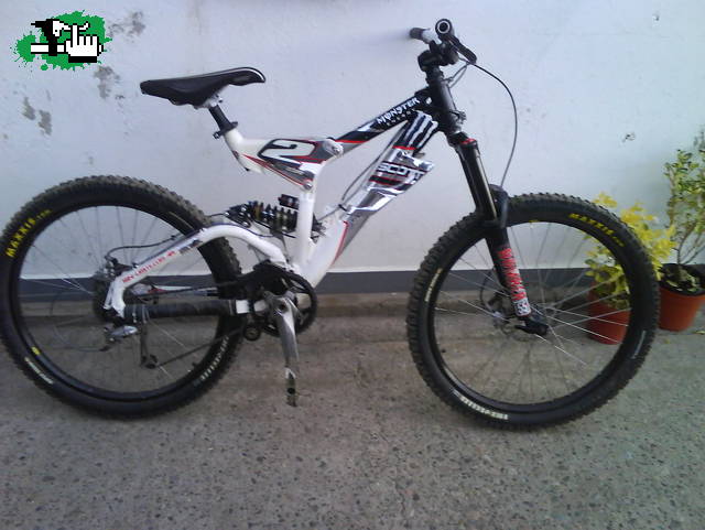 KE OPINAN DE MI SCOTT?