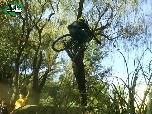 minidirt en la cruz
