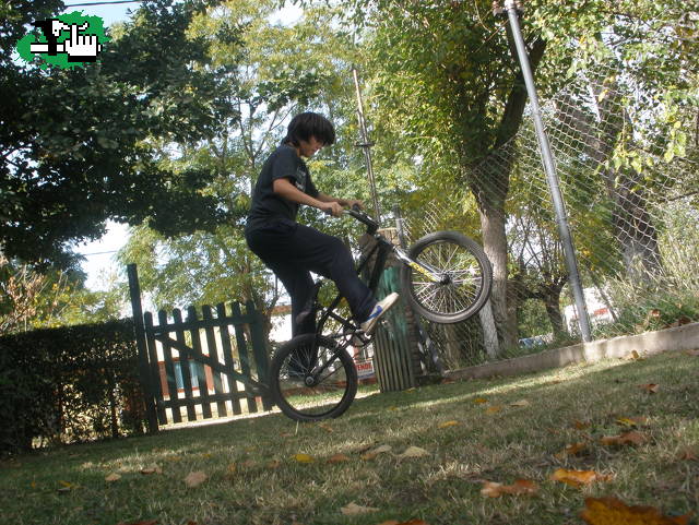 bajando mega-spin