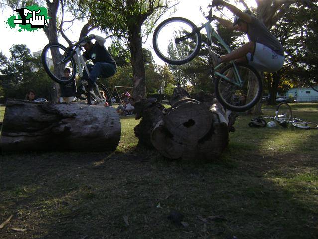 En el parque