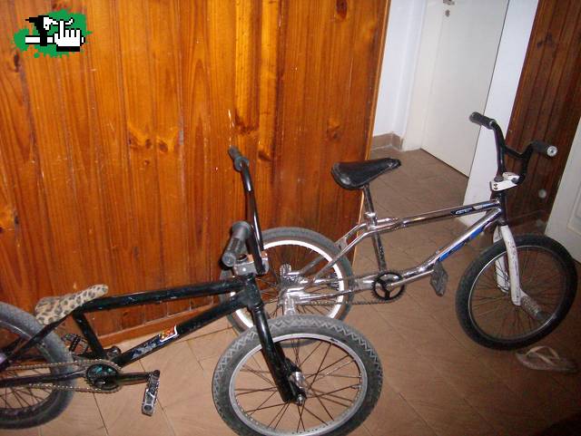 LAS BICLAS (Y)