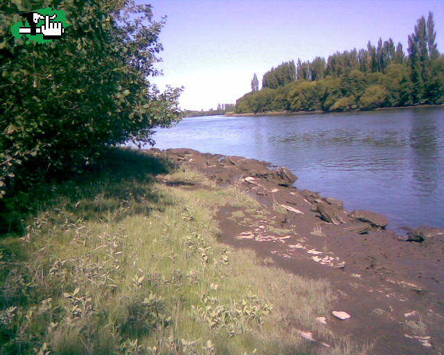 RIo Negro 2