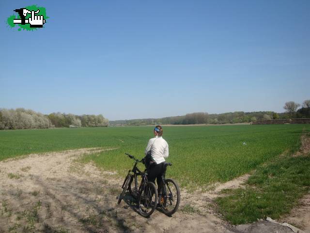 LdP en Polonia....