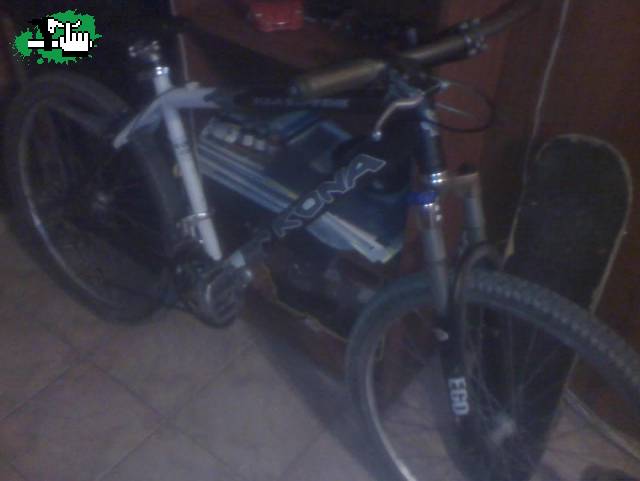 mi nueva kona
