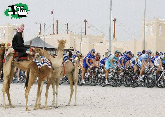 Carreras de campiones.