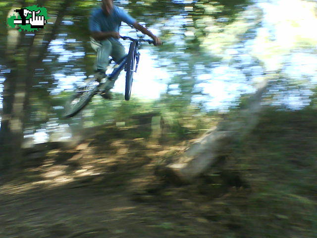 lagartooo