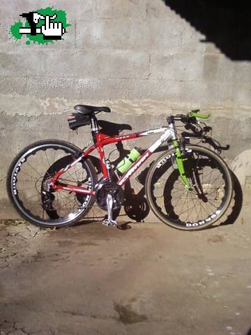 fede_trialCB