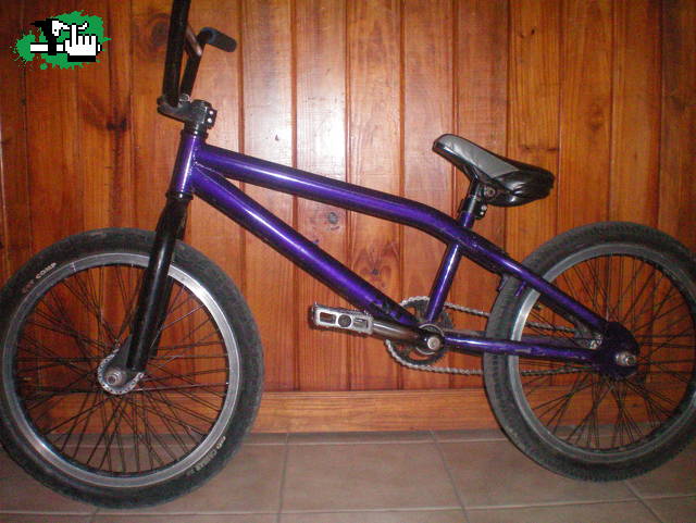 mi haro nyquist backtrail
