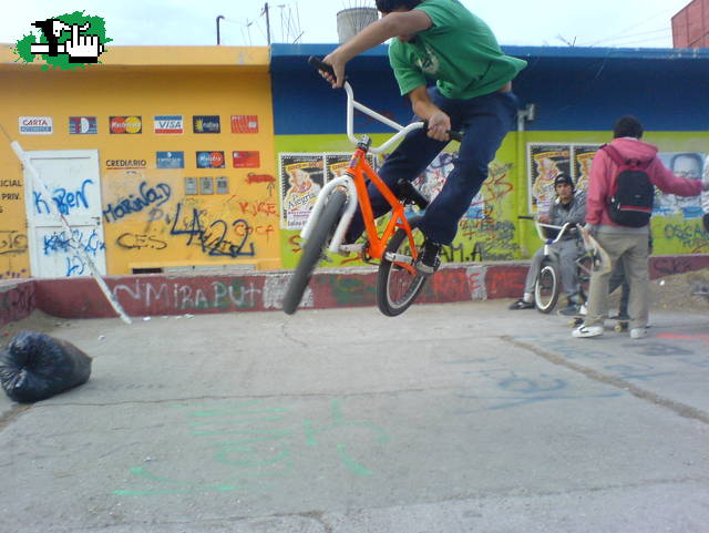 BUNNI 180-XUP