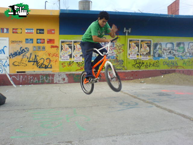 BUNNI BARSPIN