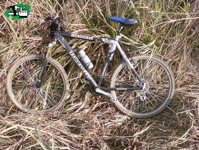 Volviendo del "Bagon"