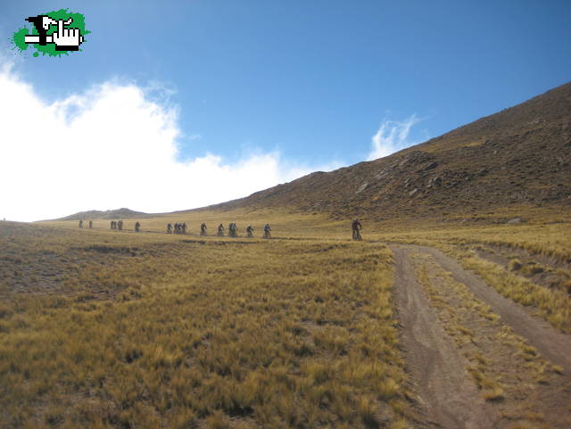 Desafio San Isidro-Potrerillos