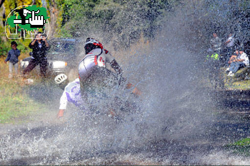 al agua