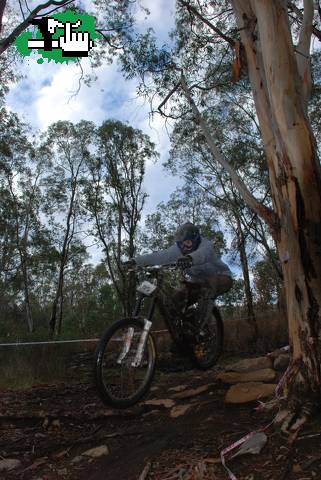 DH TANDIL