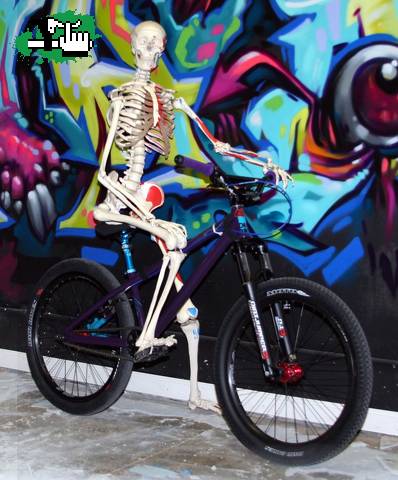 free rider 2