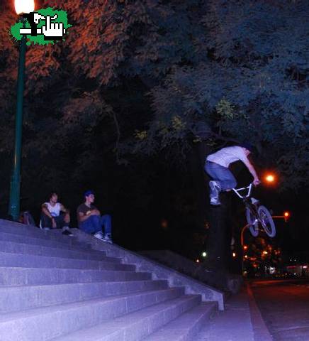 mi tailwhip