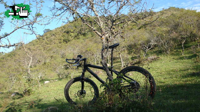 la negra contemplando la vista 2 !