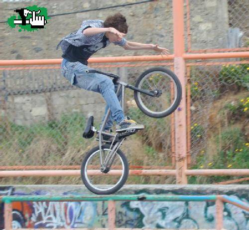 q capooooo
