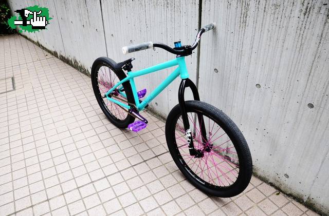Mucho color