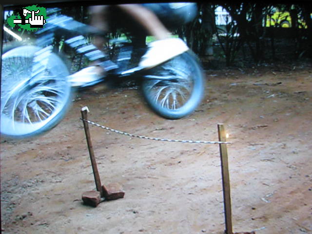 Bunny hop 