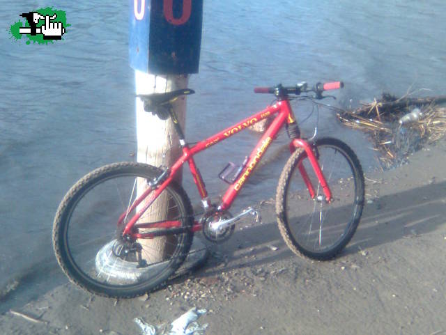 cannondale