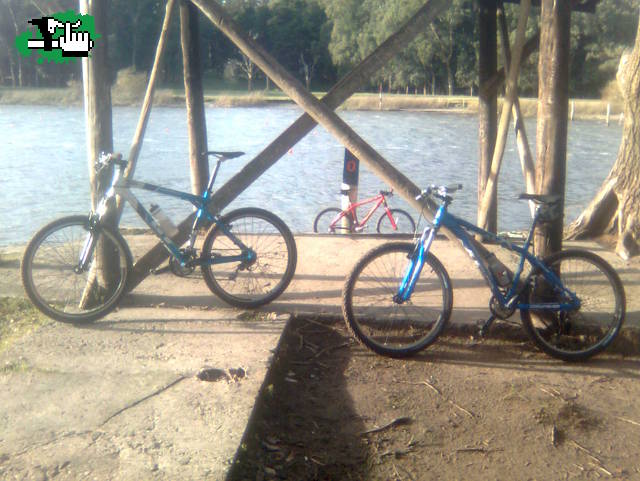 gt ,cannondale ,gary fisher