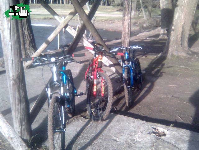gt, cannondale gary fisher