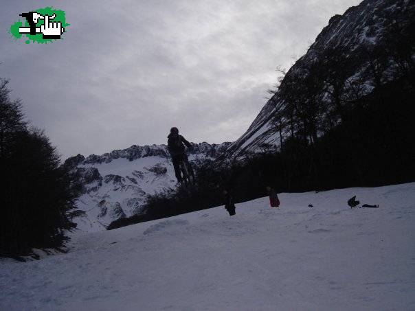 dh winter
