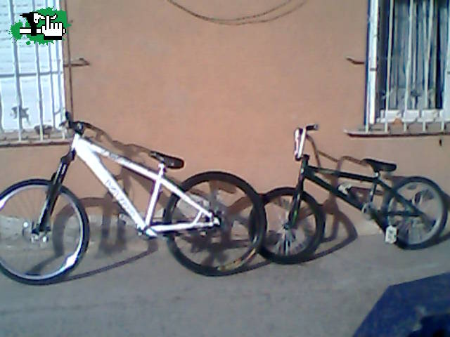 mis bikes....