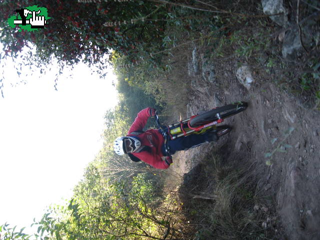 entrenamientoooo