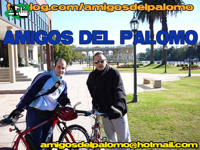AMIGOS DEL PALOMO