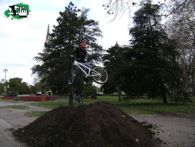 taillwip