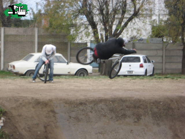tomi en el mini
