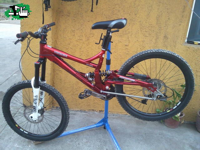 mi nuevo compañero jaja