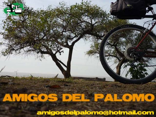 AMIGOS DEL PALOMO