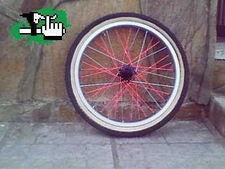 mi rueda delantera recien armada