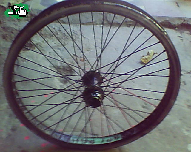 mi rueda trasera  anterior