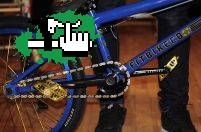 bike fit