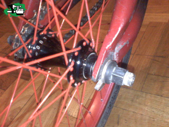 B_BmX