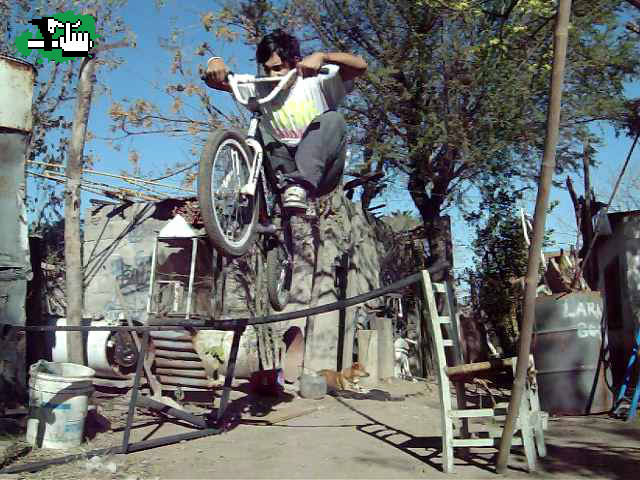mi bunni hop