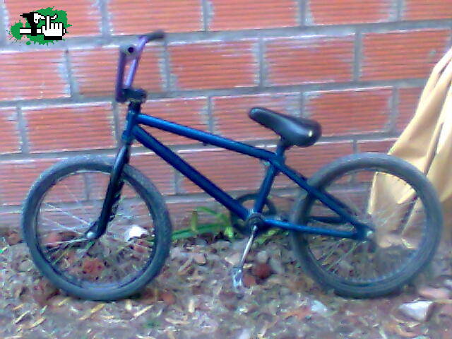 bike check haro f1 c
