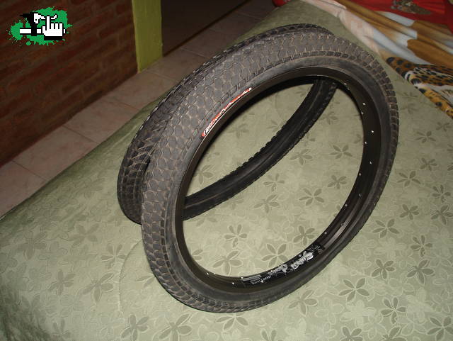 mis nUeVaS aDqUiSiCiOnEs