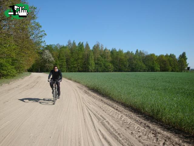 LdP en Polonia.....