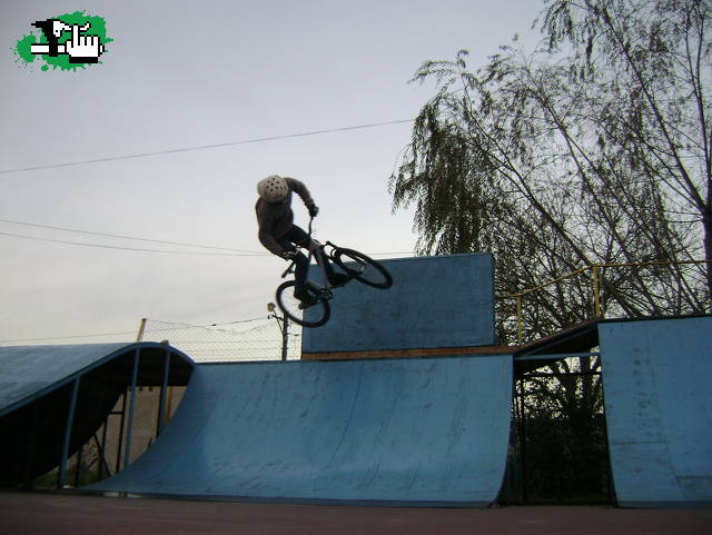 en gonett
