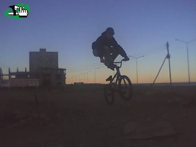 wolf en el dirt de com riv