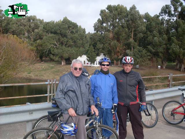el regreso de Bachi