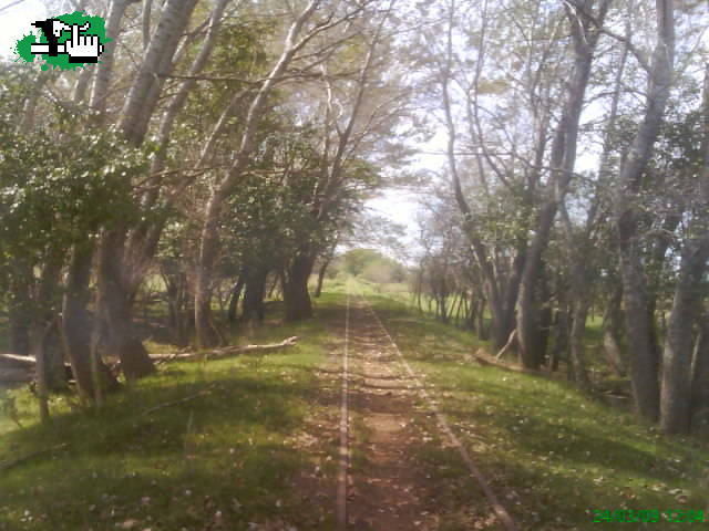 Espora!! 2